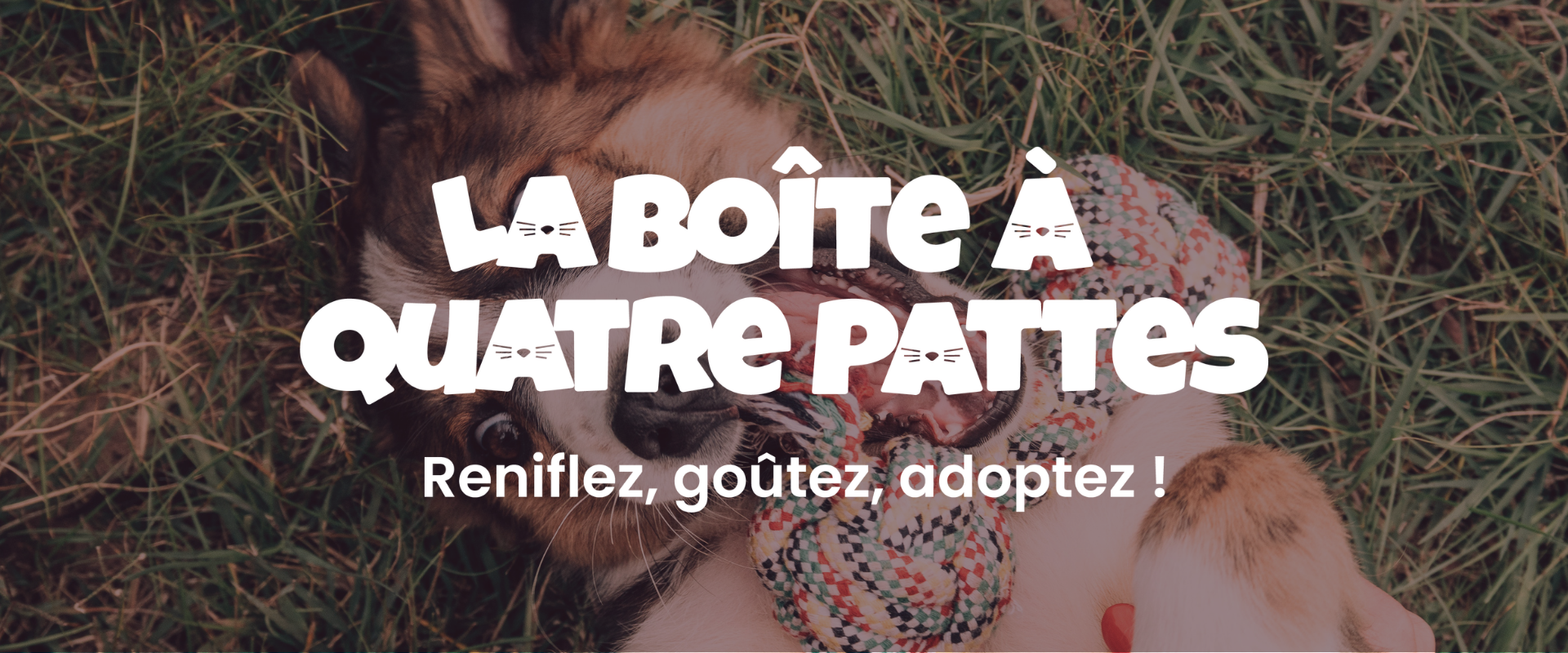 Community manager Angers